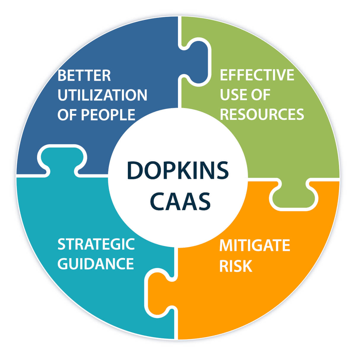 Puzzle pieces in a circle indicating how Dopkins CAAS team works